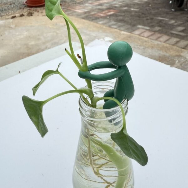 Soporte para propagación en forma de muñeco | Pack x 3und. - Imagen 2