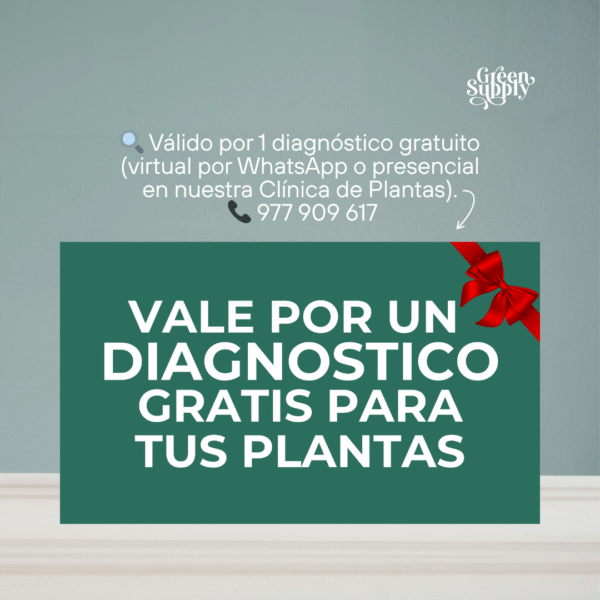 Preventivo de Plagas Bio Alga | 500g - Imagen 2