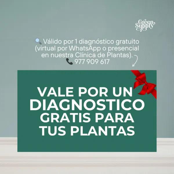 Aceite de Neem | 200ml - Imagen 2