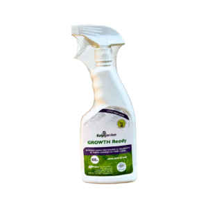 Growth Ready 600ml (Nutriente De Crecimiento)