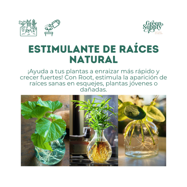 Enraizante ROOT | 250ml - Imagen 2