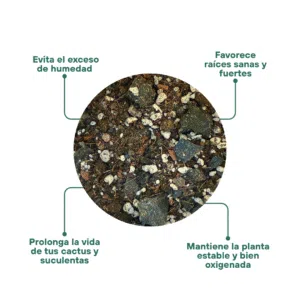 Alternative view of Sustrato para Suculentas | 3.5 lts