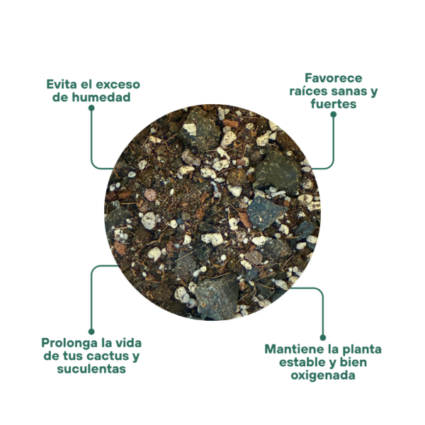 Sustrato para Suculentas | 3.5 lts - Imagen 2