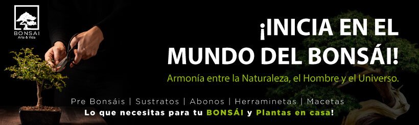 Bonsai Arte & Vida | RUC 10422878942