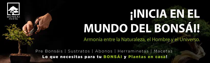 Bonsai Arte & Vida | RUC 10422878942