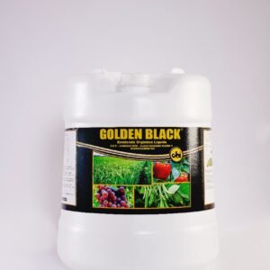 Golden Black | 1 Litro