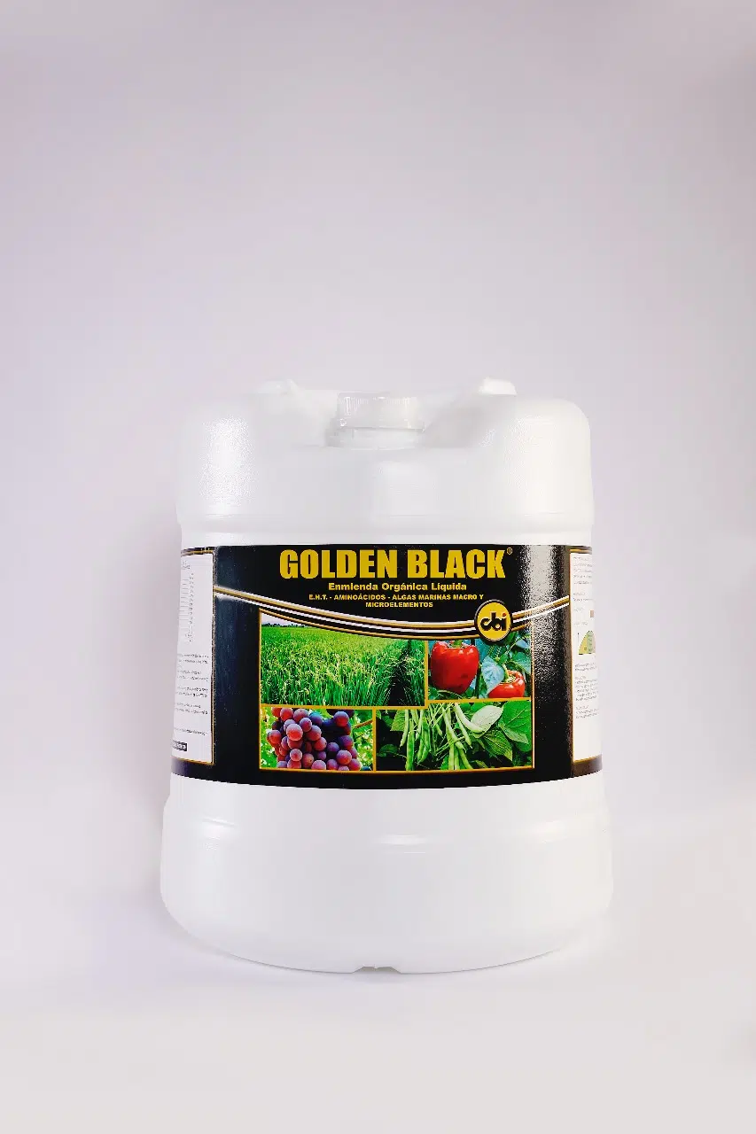 Golden Black | 1 Litro