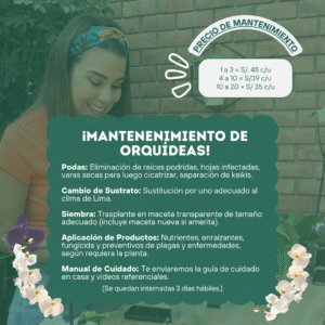 Mantenimiento de Orquídeas