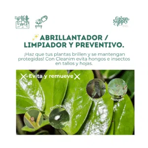 Alternative view of Cleanim 1L (Preventivo De Plagas)