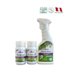 Pack Ficus Lyrata