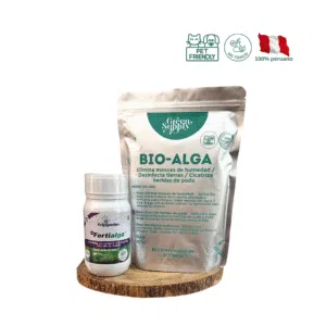 Pack Suculentas y Cactus