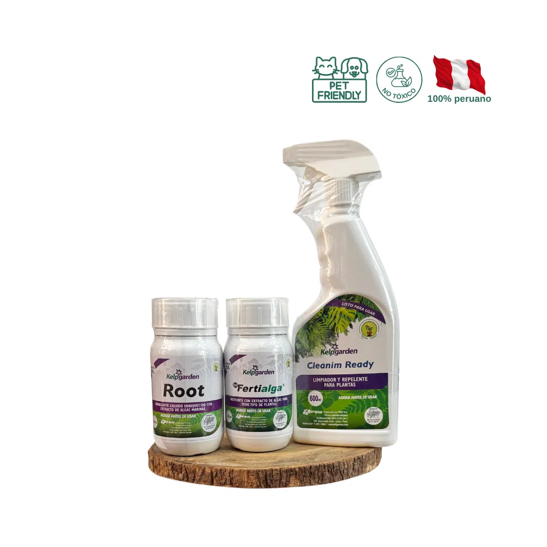 Pack Recupera tus Orquídeas
