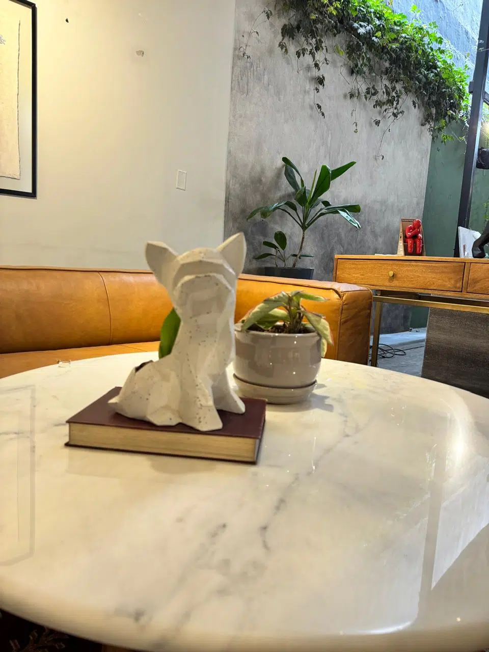 Maceta Pet Friendly Yorkie + Suculenta | 26 cm - Imagen 3