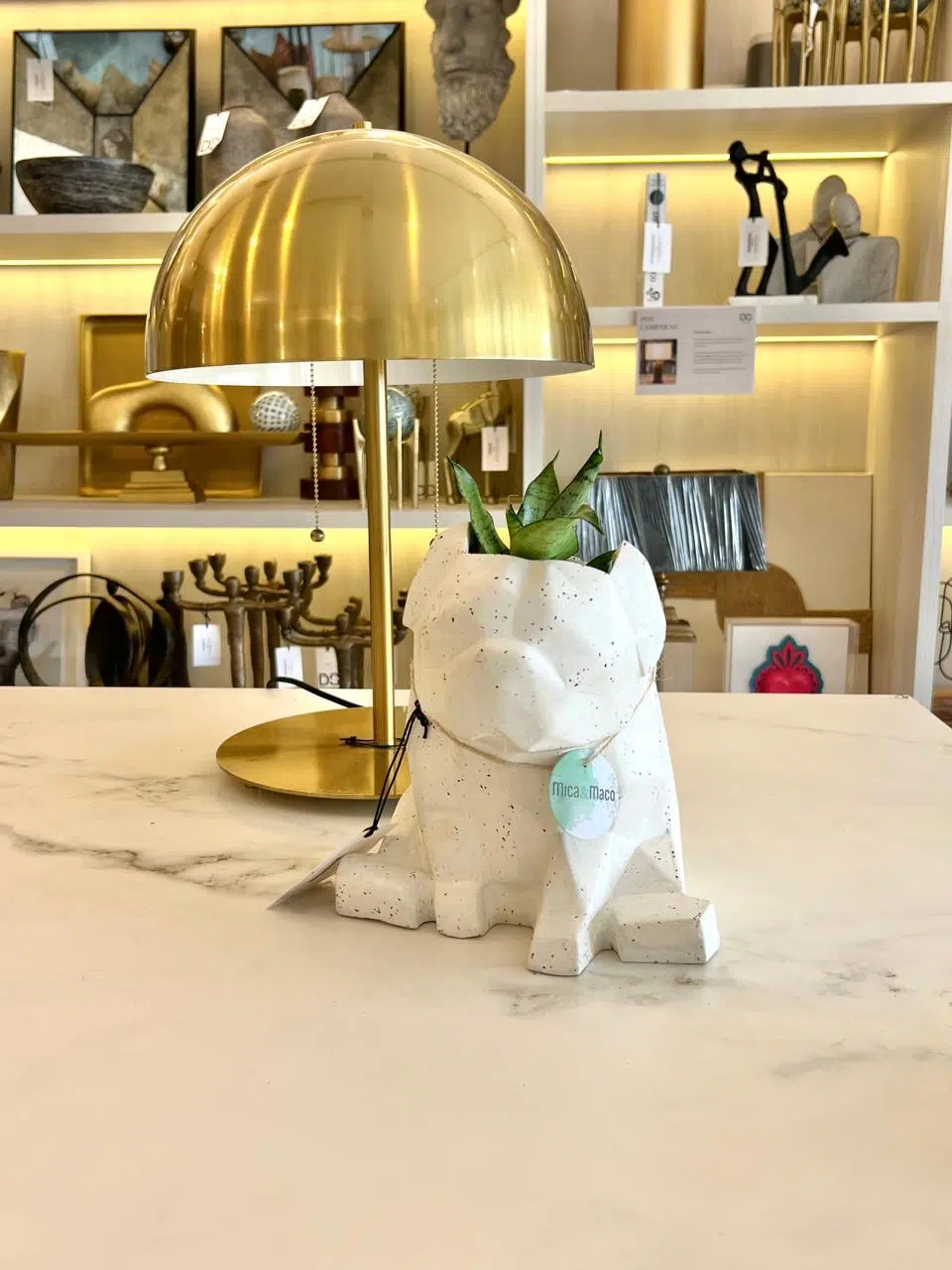 Maceta Pet Friendly Pug + Suculenta 24cm - Imagen 6