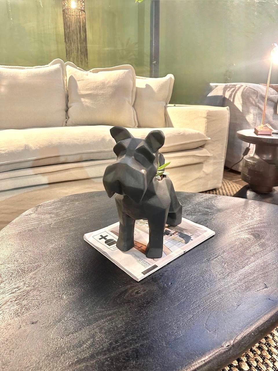 Suculenta + Maceta Pet Friendly Schnauzer | 33cm - Imagen 8