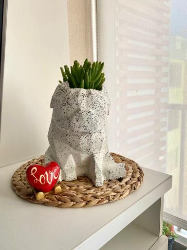 Maceta Pet Friendly Pug + Suculenta 24cm - Imagen 7