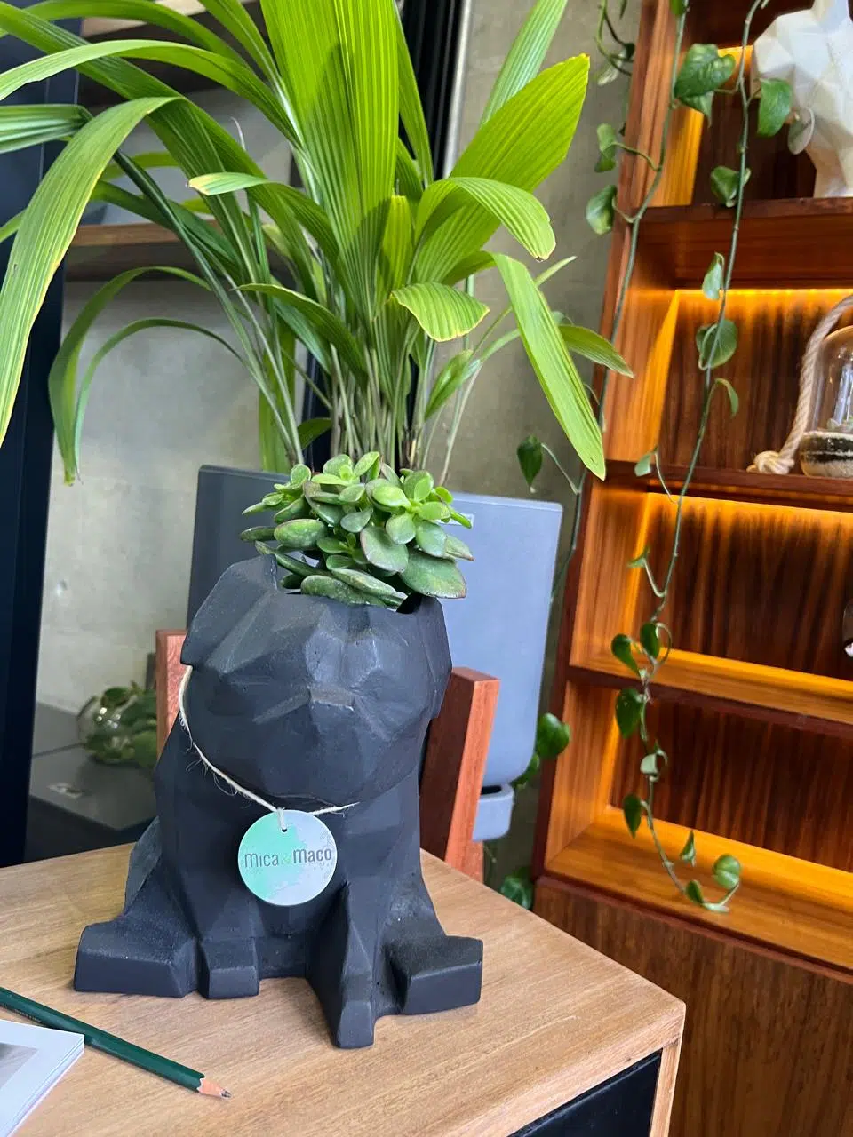 Maceta Pet Friendly Pug + Suculenta 24cm - Imagen 10