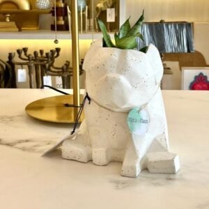 Maceta Pet Friendly Pug + Suculenta 24cm