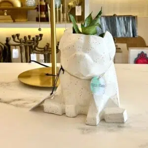 Maceta Pet Friendly Pug + Suculenta 24cm