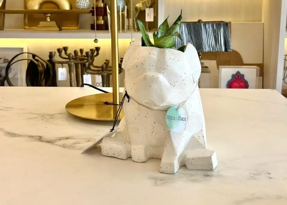 Maceta Pet Friendly Pug + Suculenta 24cm