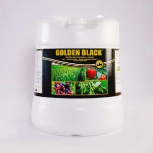 Golden Black | 20 Litros