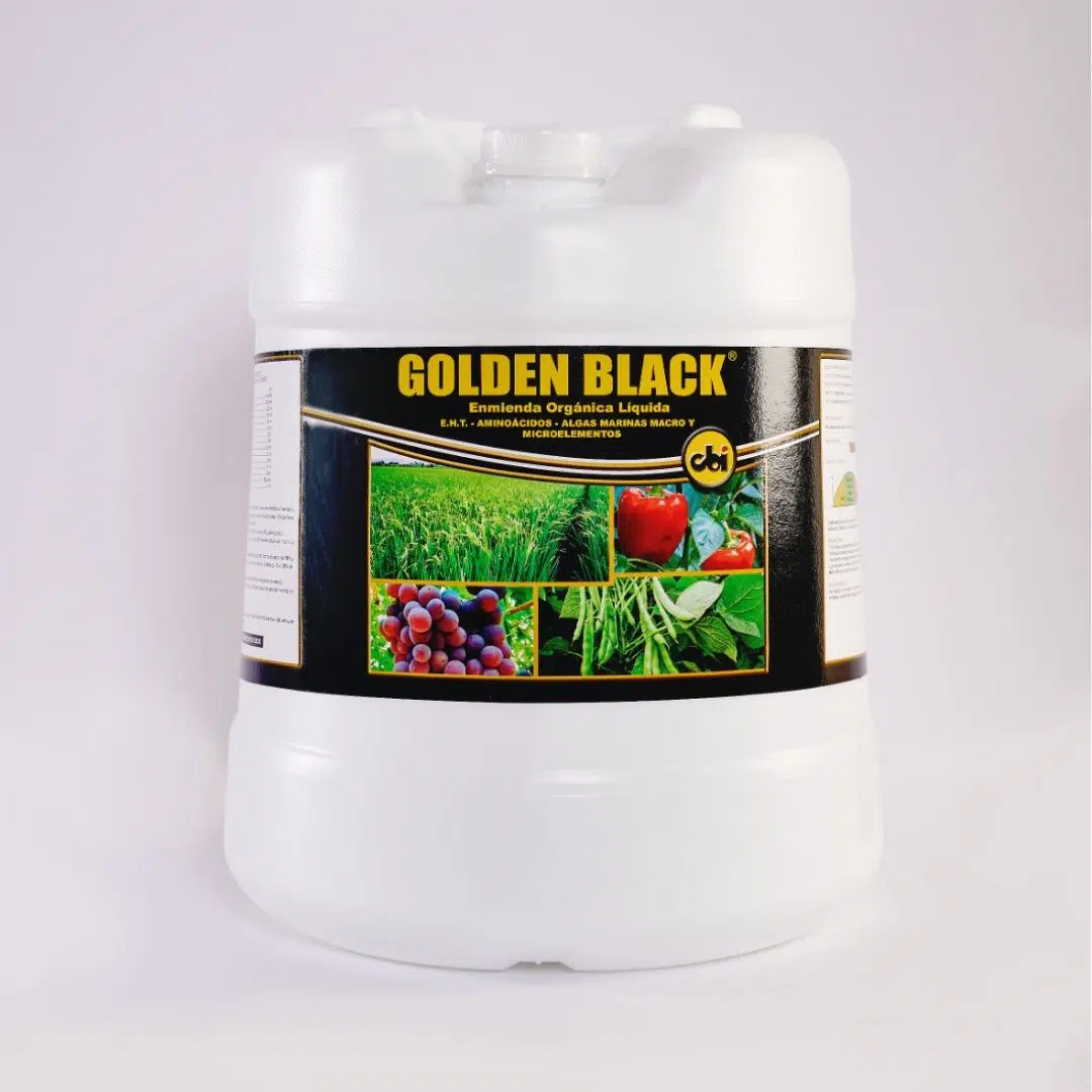 Golden Black | 20 Litros