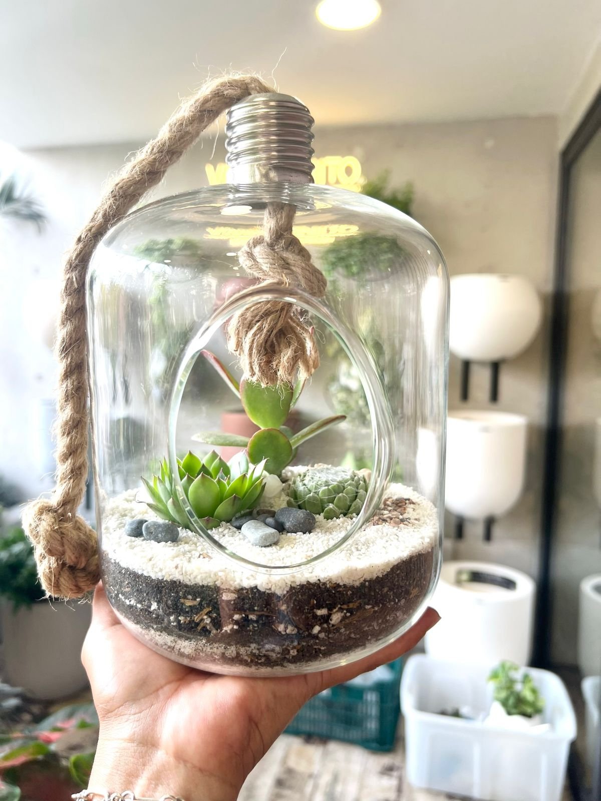 Terrario Tropical Lucerna | 24cm - Imagen 4