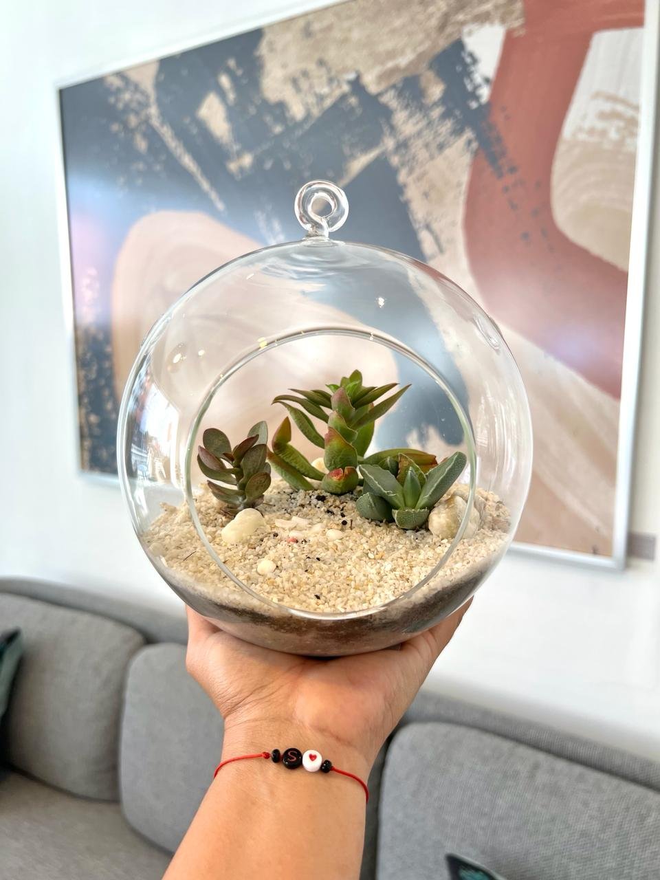 Terrario Tropical Berna Mediana | 14.5cm - Imagen 5