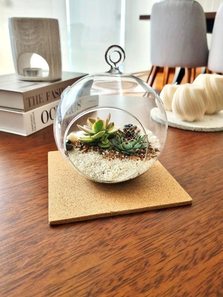 Terrario Tropical Berna Mediana | 14.5cm - Imagen 4
