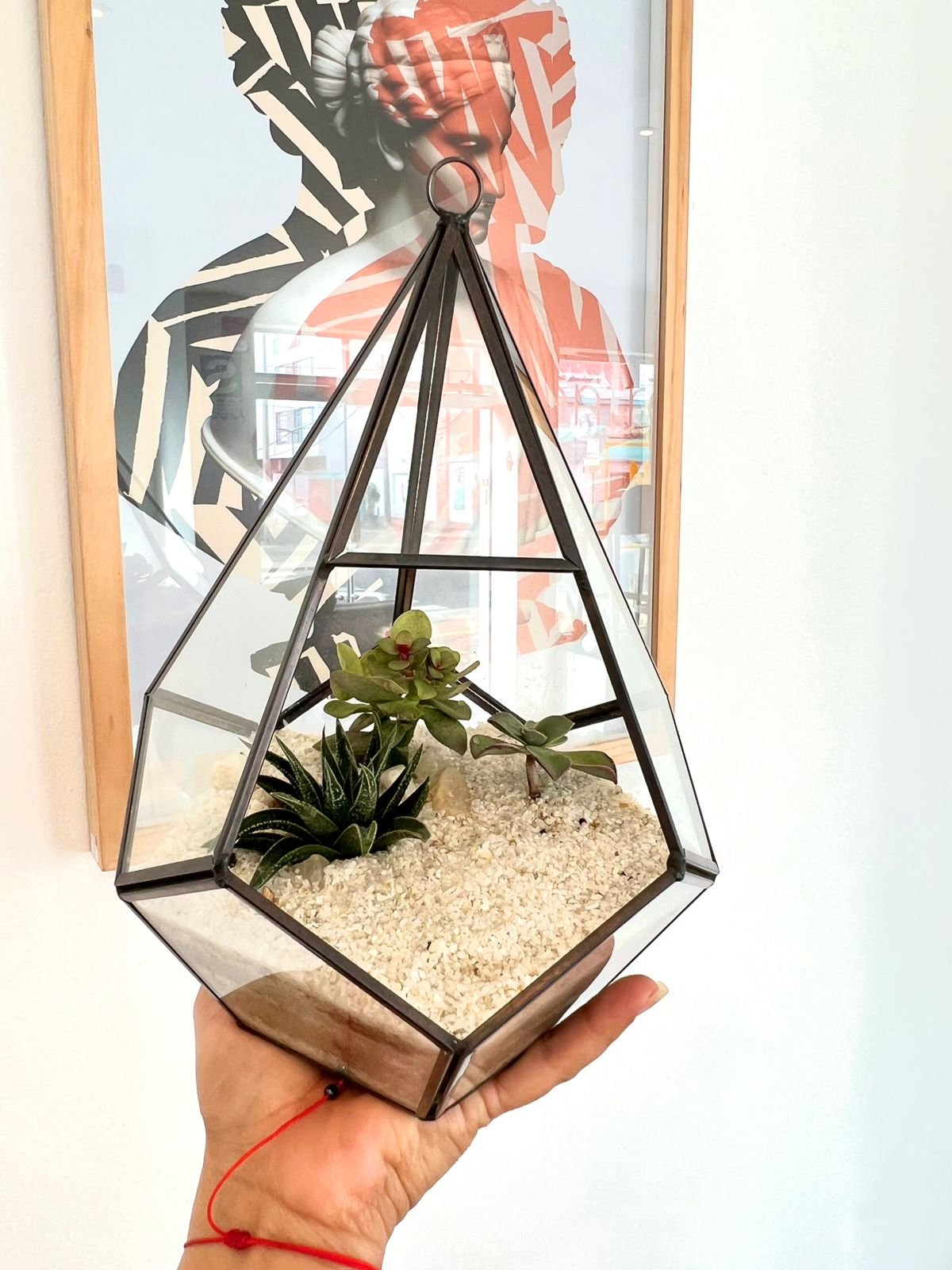 Terrario Tropical Pirámide | 24 cm - Imagen 5