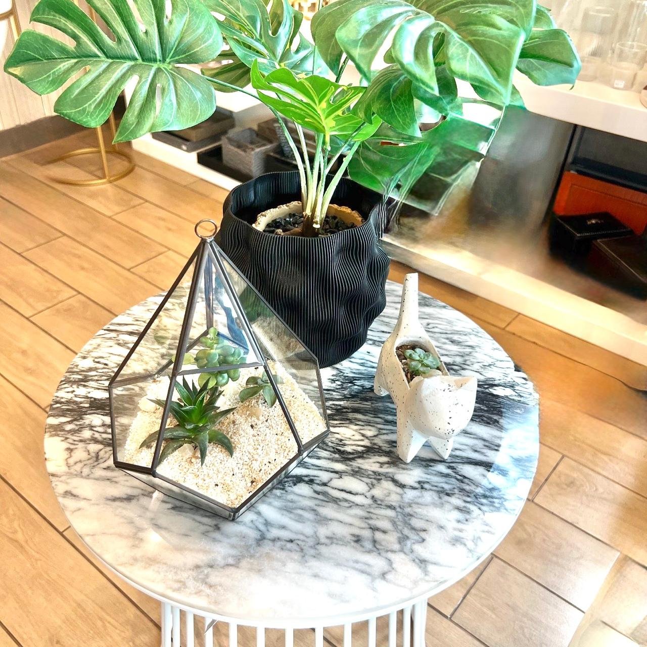 Terrario Tropical Pirámide | 24 cm - Imagen 10