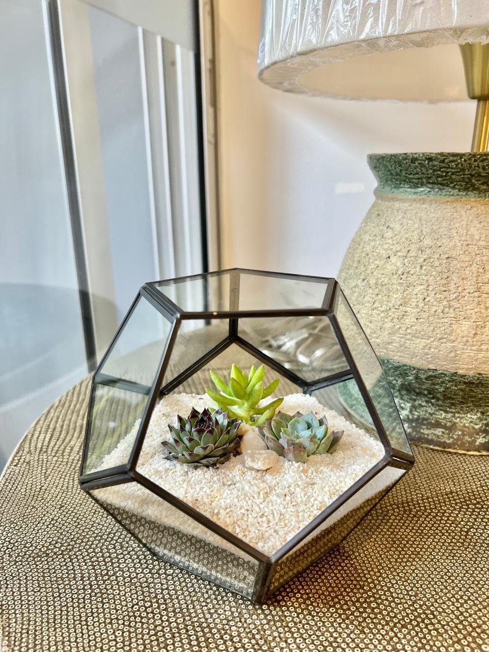 Terrario Tropical Abstract M | 15cm - Imagen 2