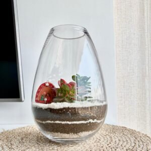 Alternative view of Terrario Tropical Valeria | 25,5cm