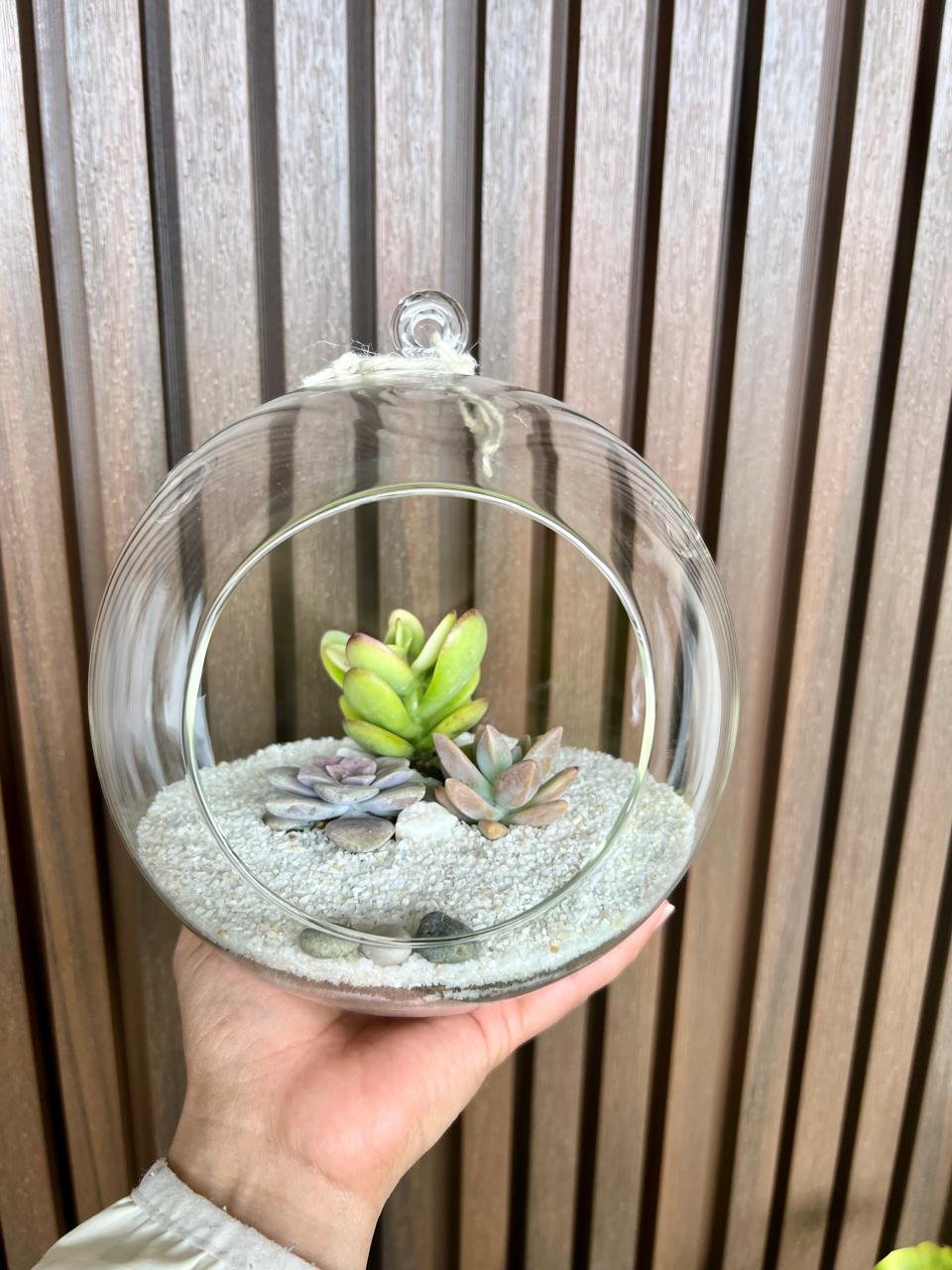 Terrario Tropical Berna Grande | 19,5 cm - Imagen 7