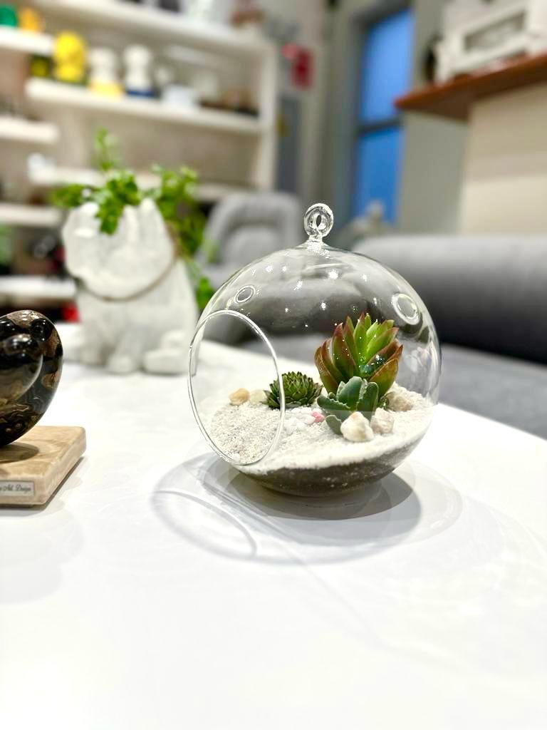 Terrario Tropical Berna Grande | 19,5 cm - Imagen 6