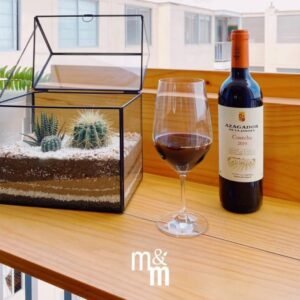 Terrario Tropical Greenhouse | 26 cm