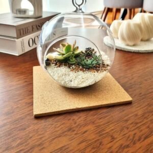 Terrario Tropical Berna Mediana | 14.5cm