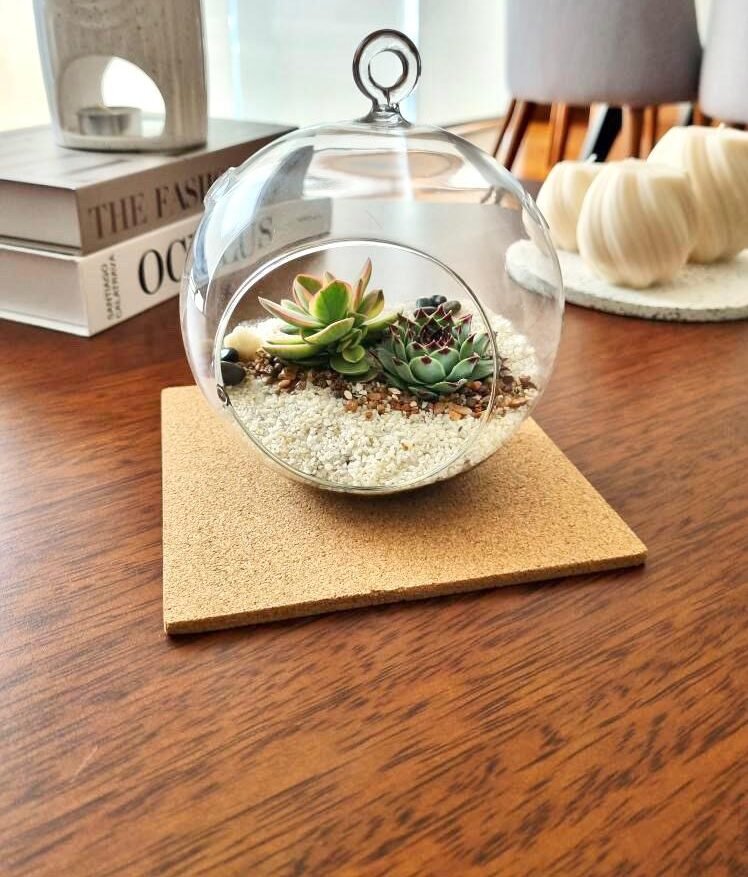 Terrario Tropical Berna Mediana | 14.5cm