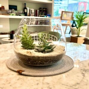 Terrario Tropical Catalina | 21,5cm