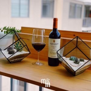 Terrario Tropical Geometric Cube | 23cm