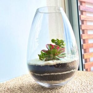 Terrario Tropical Valeria | 25,5cm