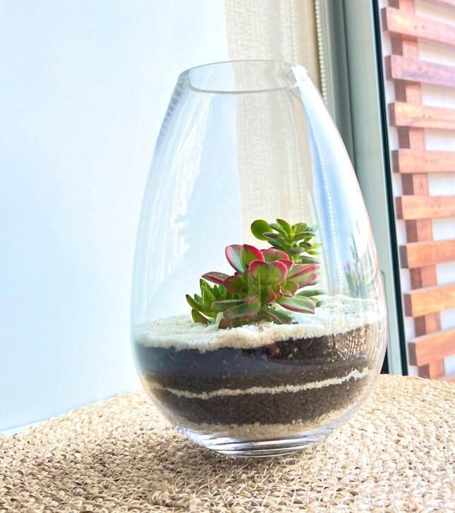 Terrario Tropical Valeria | 25,5cm