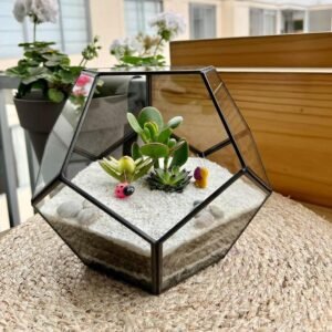 Terrario Tropical Abstract L | 19 cm