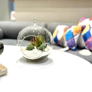 Terrario Tropical Berna Grande | 19,5 cm