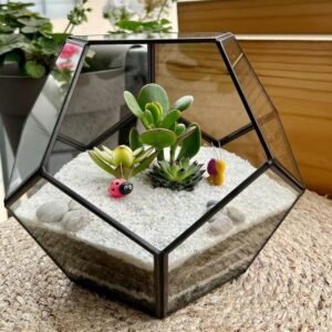 Terrario Tropical Abstract M | 15cm