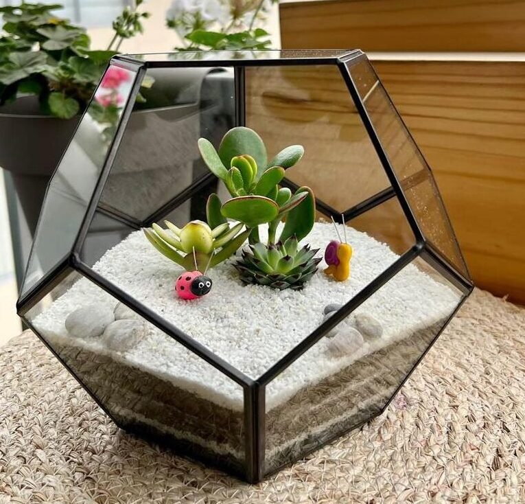 Terrario Tropical Abstract M | 15cm