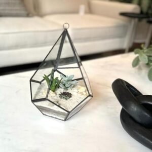 Terrario Tropical Pirámide | 24 cm