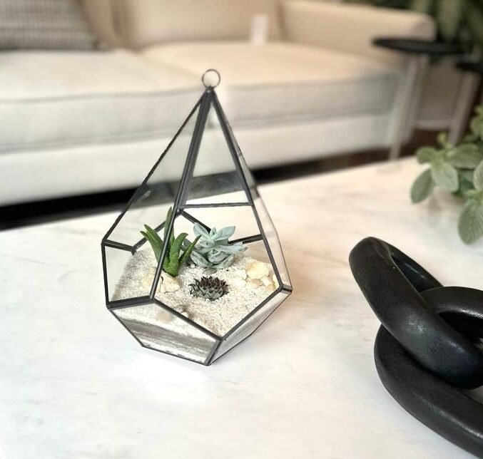 Terrario Tropical Pirámide | 24 cm