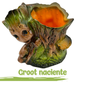 MACETERO GROOT NACIENTE | 17cm