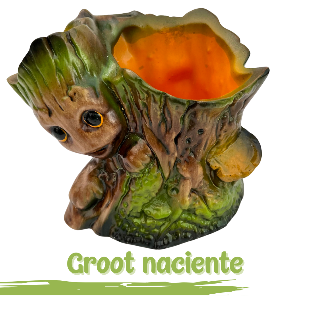 MACETERO GROOT NACIENTE | 17cm